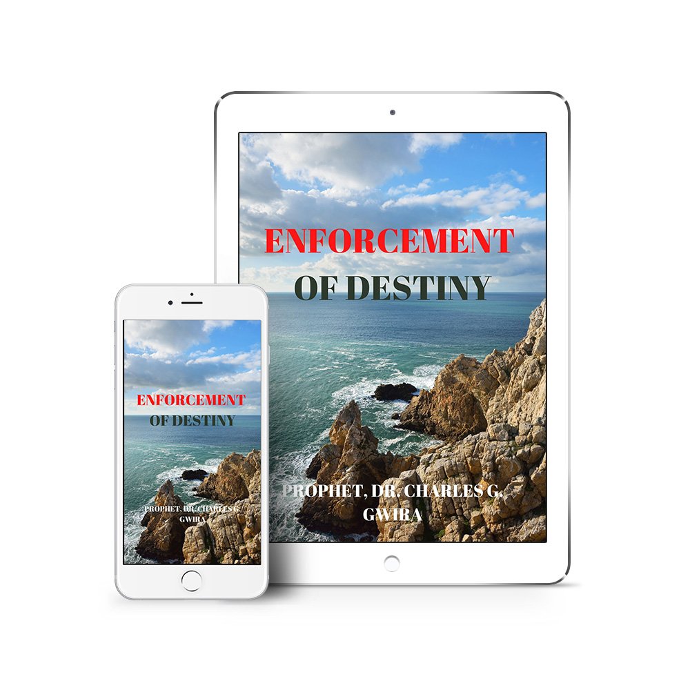 Enforcement-of-Destiny-2-6.jpg Enforcement of Destiny | E-book
